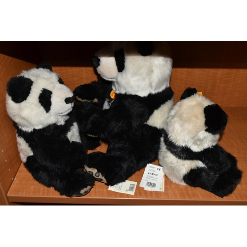 611 - THREE STEIFF PANDA BEARS, comprising 'Manschli', no.064821, height 35cm, another lacking paper label... 