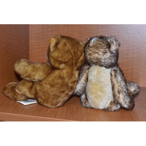 632 - TWO STEIFF 'BEST FOR KIDS' TEDDY BEARS, comprising 'Barry', 013980, acrylic, height 28cm and 'Robby'... 