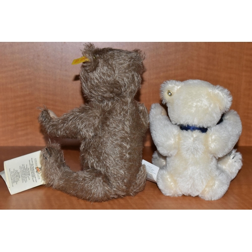 635 - TWO STEIFF TEDDY BEARS, comprising 'Classic 1909, 000591, white mohair, height 25cm and 'Classic', 0... 