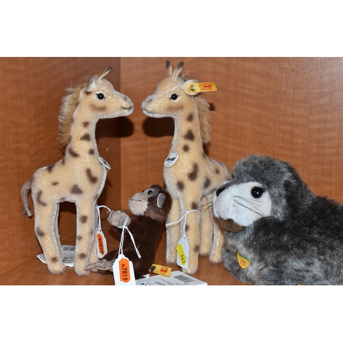 642 - A GROUP OF STEIFF ANIMALS, comprising 'Jocko' Chimpanzee 040542,height 10cm, two 'Greta' Giraffe 068... 