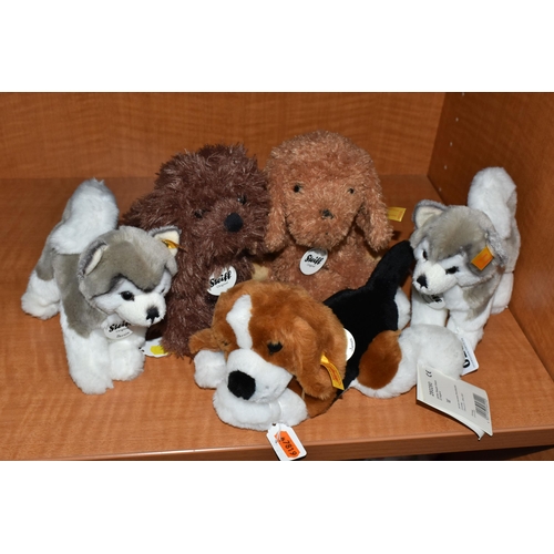 650 - FIVE STEIFF PUPPY DOGS, comprising Bonnie Puppy 083556, Timmy Puppy 083525, two Bernie Husky 104985,... 