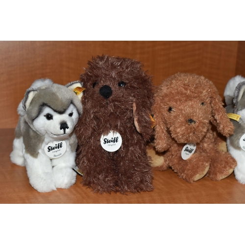 650 - FIVE STEIFF PUPPY DOGS, comprising Bonnie Puppy 083556, Timmy Puppy 083525, two Bernie Husky 104985,... 