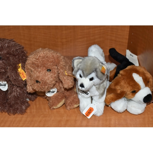 650 - FIVE STEIFF PUPPY DOGS, comprising Bonnie Puppy 083556, Timmy Puppy 083525, two Bernie Husky 104985,... 