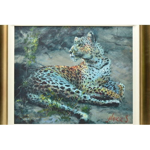 308 - ROLF HARRIS (AUSTRALIAN 1930-2023) 'LEOPARD RECLINING AT DUSK', signed limited edition print on boar... 