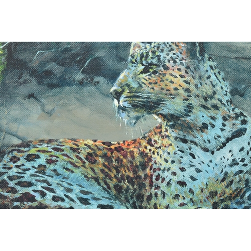 308 - ROLF HARRIS (AUSTRALIAN 1930-2023) 'LEOPARD RECLINING AT DUSK', signed limited edition print on boar... 