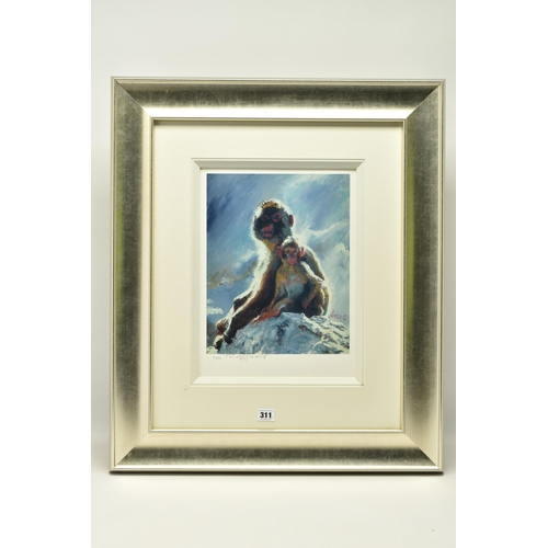 311 - ROLF HARRIS (AUSTRALIAN 1930-2023) 'BACKLIT BABOONS - GIBRALTAR' signed limited edition print on pap... 