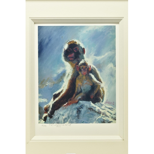 311 - ROLF HARRIS (AUSTRALIAN 1930-2023) 'BACKLIT BABOONS - GIBRALTAR' signed limited edition print on pap... 