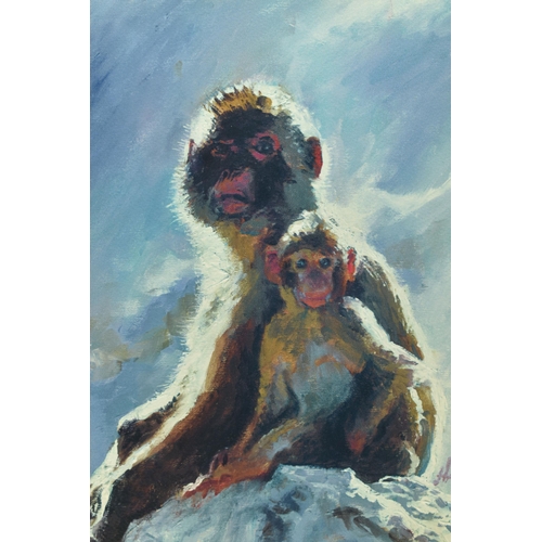 311 - ROLF HARRIS (AUSTRALIAN 1930-2023) 'BACKLIT BABOONS - GIBRALTAR' signed limited edition print on pap... 