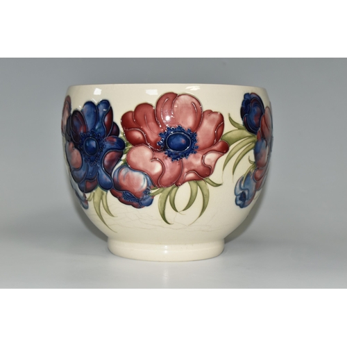 316 - A LARGE MOORCROFT POTTERY JARDINIERE, decorated  with purple and puce 'Anemone' design on a cream gr... 