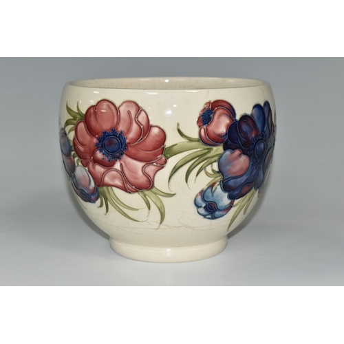 316 - A LARGE MOORCROFT POTTERY JARDINIERE, decorated  with purple and puce 'Anemone' design on a cream gr... 