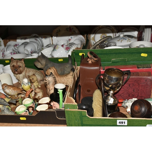 Lot 491       