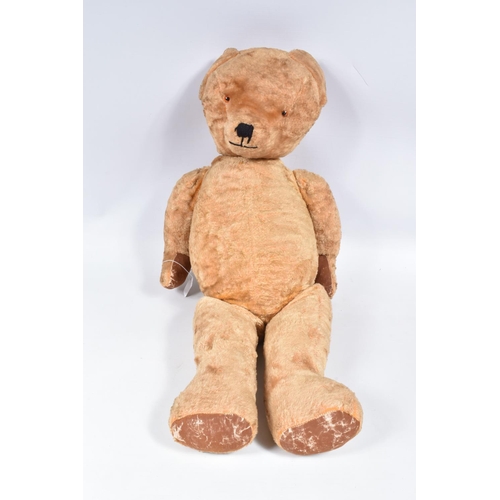 11 - A LARGE GOLDEN PLUSH TEDDY BEAR, amber and black plastic eyes, vertically stitched nose with minor d... 