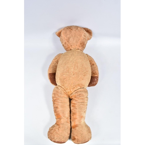 11 - A LARGE GOLDEN PLUSH TEDDY BEAR, amber and black plastic eyes, vertically stitched nose with minor d... 