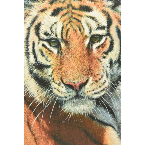 309 - TONY FORREST (BRITISH 1961) 'WILD THING', a signed limited edition print on board of a tiger, 52/195... 