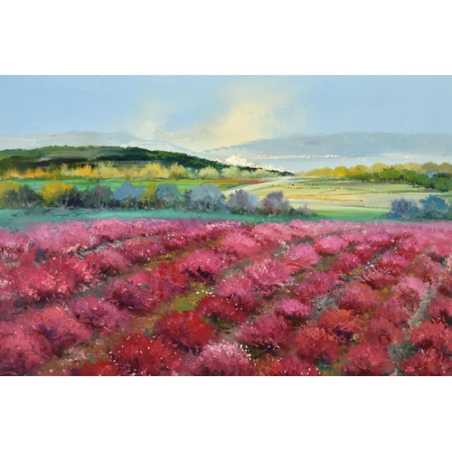 318 - MIGUEL TORRES (SPAIN 1948), 'PINK HEATHERS', a Spanish landscape with yachts under sail to the dista... 