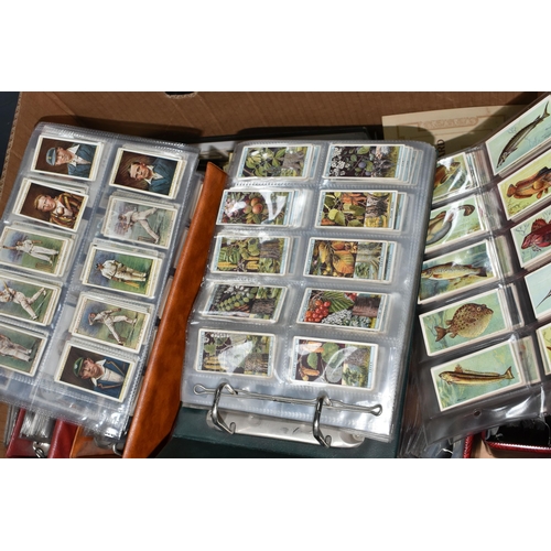 440 - CIGARETTE CARDS, a large collection of Cigarette Cards in eight albums, sleeves and loose containing... 