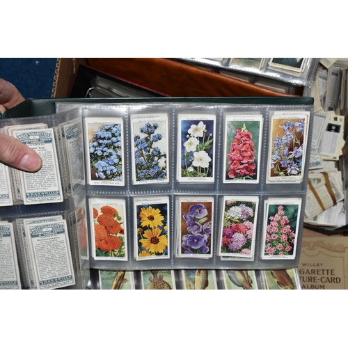 440 - CIGARETTE CARDS, a large collection of Cigarette Cards in eight albums, sleeves and loose containing... 