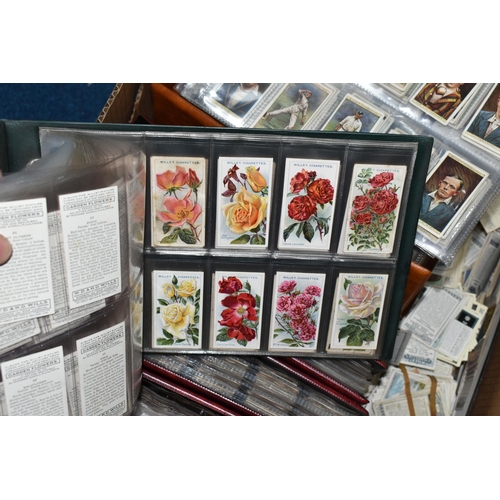 440 - CIGARETTE CARDS, a large collection of Cigarette Cards in eight albums, sleeves and loose containing... 