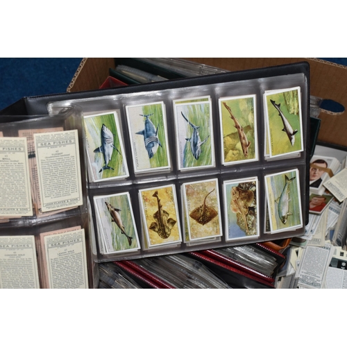 440 - CIGARETTE CARDS, a large collection of Cigarette Cards in eight albums, sleeves and loose containing... 