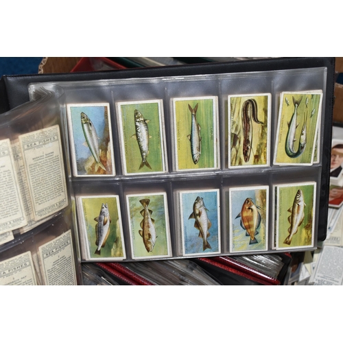 440 - CIGARETTE CARDS, a large collection of Cigarette Cards in eight albums, sleeves and loose containing... 