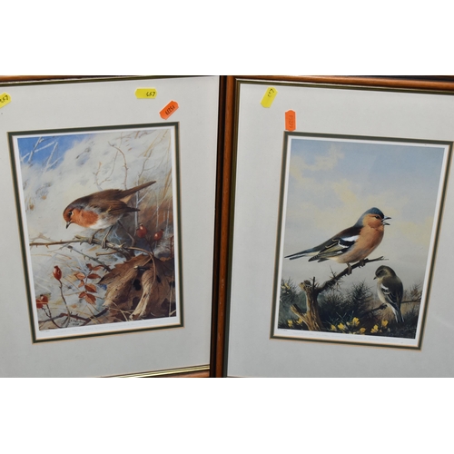 467 - ARCHIBALD THORBURN, THREE LIMITED EDITION PRINTS PUBLISHED 1995, depicting a Robin in winter, two Bl... 