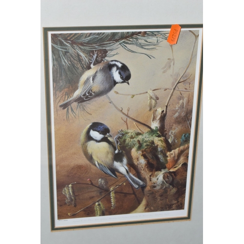 467 - ARCHIBALD THORBURN, THREE LIMITED EDITION PRINTS PUBLISHED 1995, depicting a Robin in winter, two Bl... 