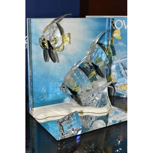 527 - A BOXED SWAROVSKI CRYSTAL 'WONDERS OF THE SEA: COMMUNITY' DIORAMA, annual piece for 2007, with angel... 