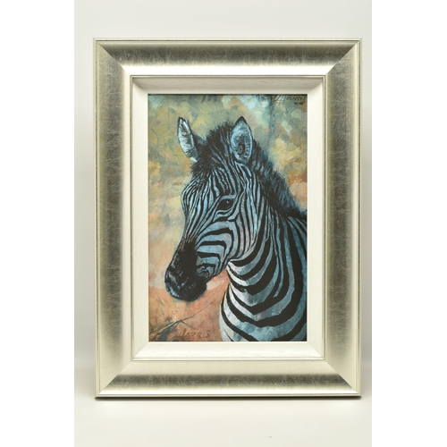 304 - ROLF HARRIS (AUSTRALIA (1930-2023)  'YOUNG ZEBRA' a signed limited edition print  on board, 70/195 w... 