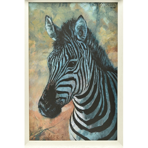 304 - ROLF HARRIS (AUSTRALIA (1930-2023)  'YOUNG ZEBRA' a signed limited edition print  on board, 70/195 w... 