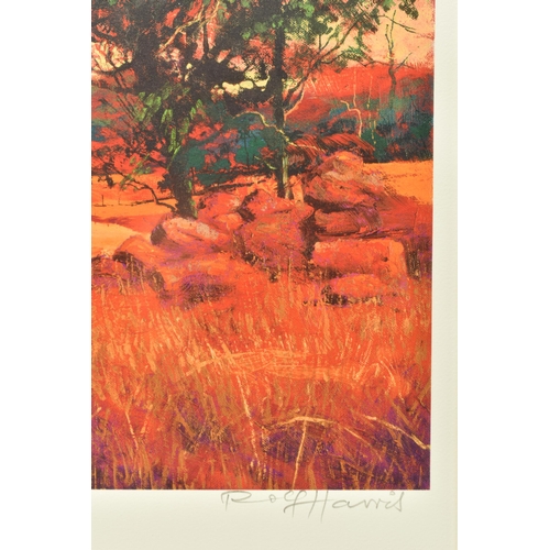 314 - ROLF HARRIS (AUSTRALIA 1930-2023) 'ROCKY OUTCROP', a signed limited edition print on paper depicting... 