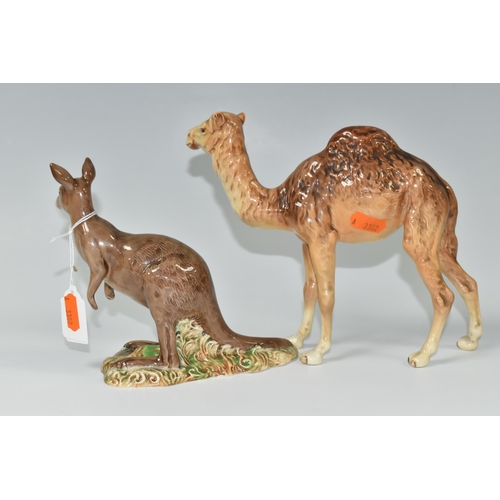 368 - TWO BESWICK ANIMALS, comprising a Kangaroo 1160 and Camel 1044 (2) (Condition Report: a small chip t... 