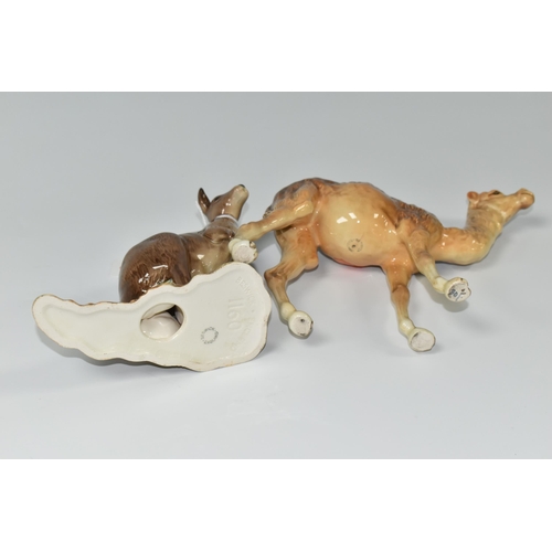 368 - TWO BESWICK ANIMALS, comprising a Kangaroo 1160 and Camel 1044 (2) (Condition Report: a small chip t... 