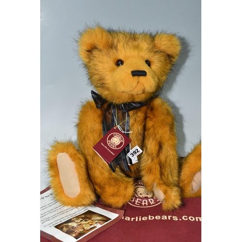 392 - A CHARLIE BEAR 'MEMORIES' CB159051S, designed exclusively by Heather Lyell, height approx. 50cm, wit... 