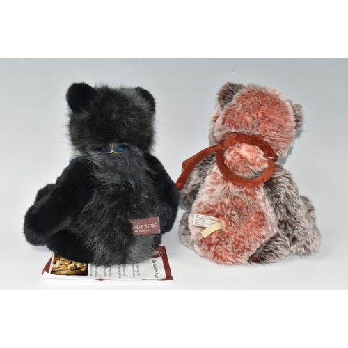 459 - TWO CHARLIE BEARS 'HAKATAN' CB181809A AND DIXIE CB151586A, exclusively designed by Isabelle Lee,  wi... 