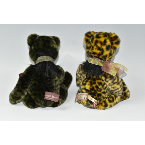 470 - TWO CHARLIE BEARS PLUSH COLLECTION BEARS, comprising 'Chutney' CB181852B, height approx. 41cm and 'L... 