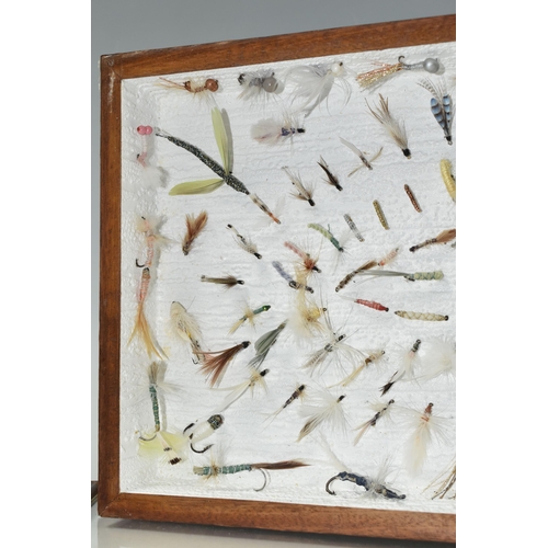 549 - A DISPLAY BOX OF VINTAGE SALMON AND TROUT FLIES, a quantity of flies are mounted into a glass topped... 