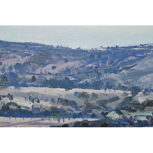 315 - SIMPSON (CONTEMPORARY) AN EXTENSIVE LANDSCAPE WITH ROLLING HILLS TO THE DISTANCE, signed and dated  ... 