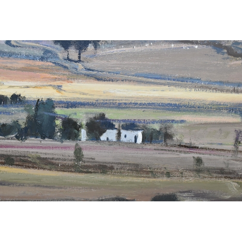 315 - SIMPSON (CONTEMPORARY) AN EXTENSIVE LANDSCAPE WITH ROLLING HILLS TO THE DISTANCE, signed and dated  ... 