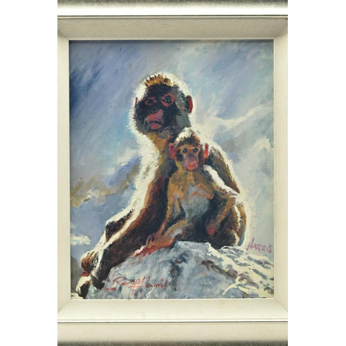 318 - ROLF HARRIS (AUSTRALIA 1930-2023) 'BACKLIT BABOONS - GIBRALTAR', a signed limited edition print on b... 