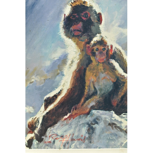 318 - ROLF HARRIS (AUSTRALIA 1930-2023) 'BACKLIT BABOONS - GIBRALTAR', a signed limited edition print on b... 