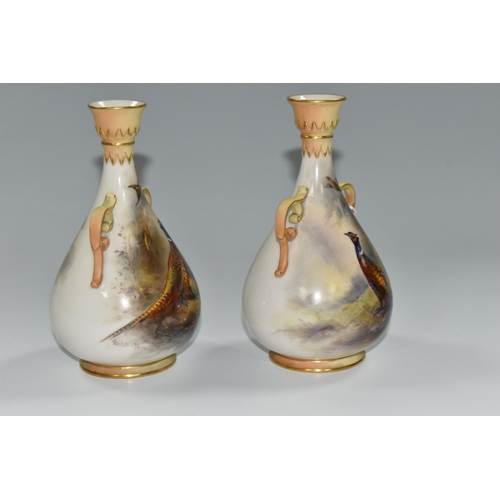 330 - TWO ROYAL WORCESTER TWIN HANDLED BALUSTER VASES, HAND PAINTED WITH PHEASANTS BY JAMES STINTON, signe... 