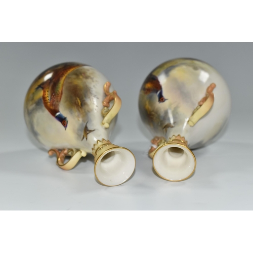 330 - TWO ROYAL WORCESTER TWIN HANDLED BALUSTER VASES, HAND PAINTED WITH PHEASANTS BY JAMES STINTON, signe... 