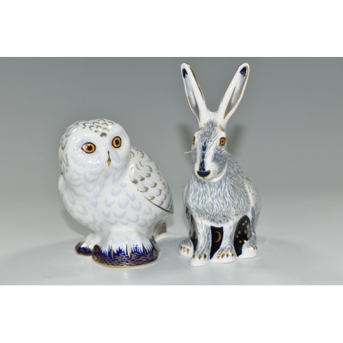 368 - TWO ROYAL CROWN DERBY IMARI PAPERWEIGHTS, comprising 'Snowy Owl', date cypher 2005 and 'Starlight Ha... 