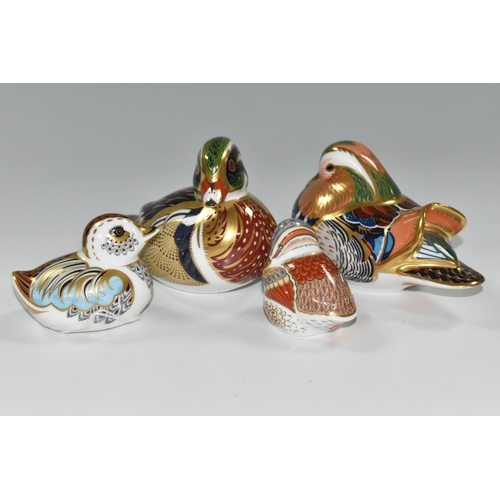 393 - FOUR ROYAL CROWN DERBY DUCK / DUCKLING PAPERWEIGHTS, comprising 'Caroline Duck', second, silver stop... 