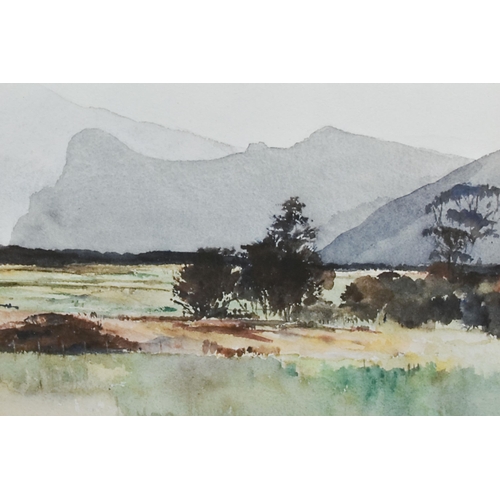 457 - A SMALL SELECTION OF WATERCOLOUR PICTURES AND PRINTS, comprising a Claire Davies watercolour depicti... 