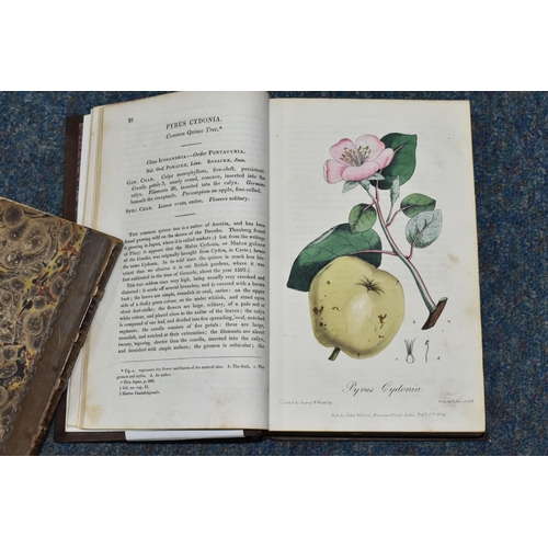 479 - TWO ANTIQUARIAN BOOKS COMPRISING FLORA MEDICA: Containing Coloured Delineations Of The Various Medic... 