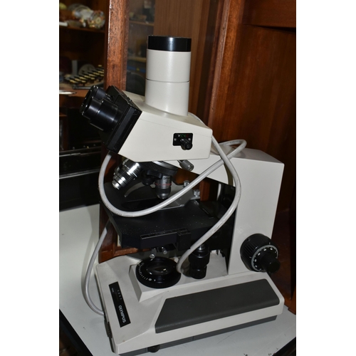 562 - A CASED OLYMPUS BH-2 BINOCULAR MICROSCOPE, converted to run on mains power, not tested or checked fo... 