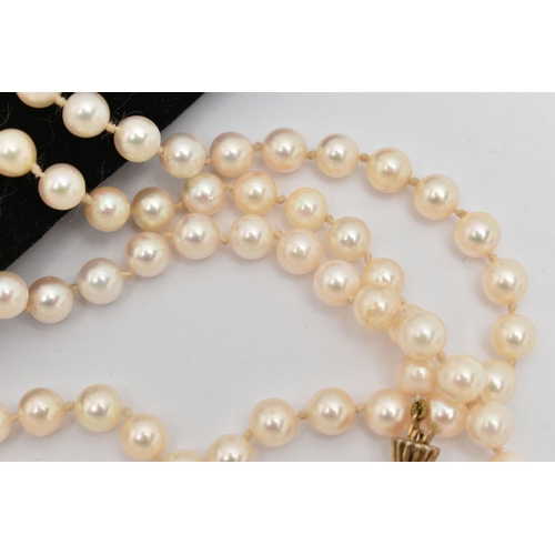 22 - A LONG CULTURED PEARL NECKLACE, the uniform necklace with pinch waist, gold plated, push piece clasp... 