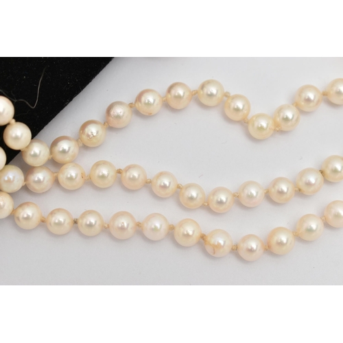 22 - A LONG CULTURED PEARL NECKLACE, the uniform necklace with pinch waist, gold plated, push piece clasp... 