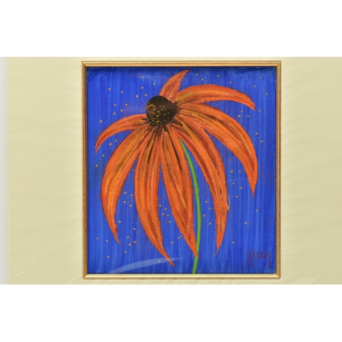 304 - KELLY JANE (BRITISH CONTEMPORARY) ECHINACEA / CONEFLOWER, a study of a single flower, signed bottom ... 